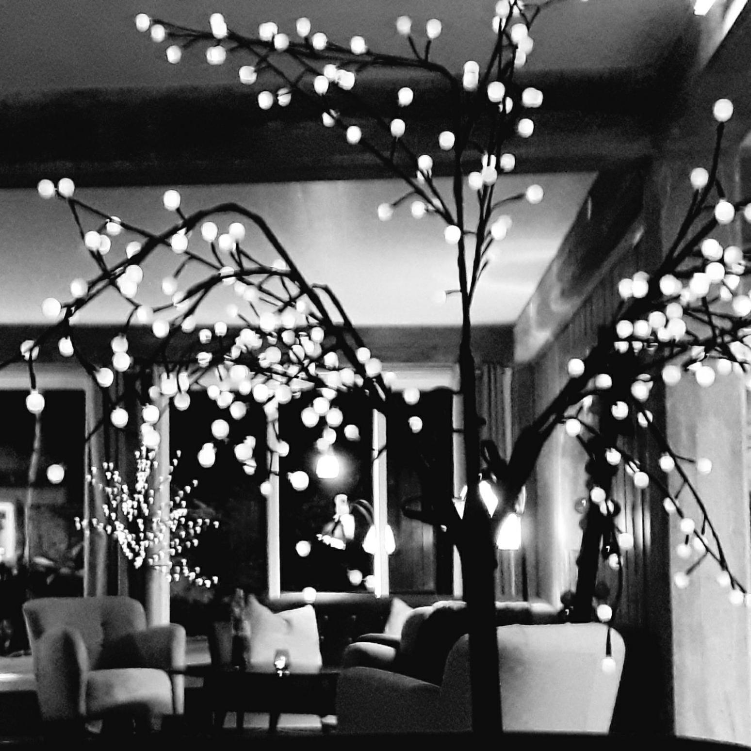 Haukeli Hotel Ngoại thất bức ảnh